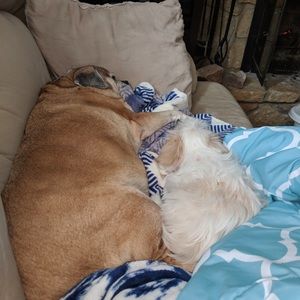 Meet your Posher, Carlee